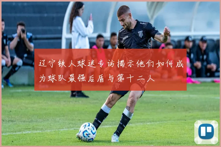 辽宁铁人球迷专访揭示他们如何成为球队最强后盾与第十二人